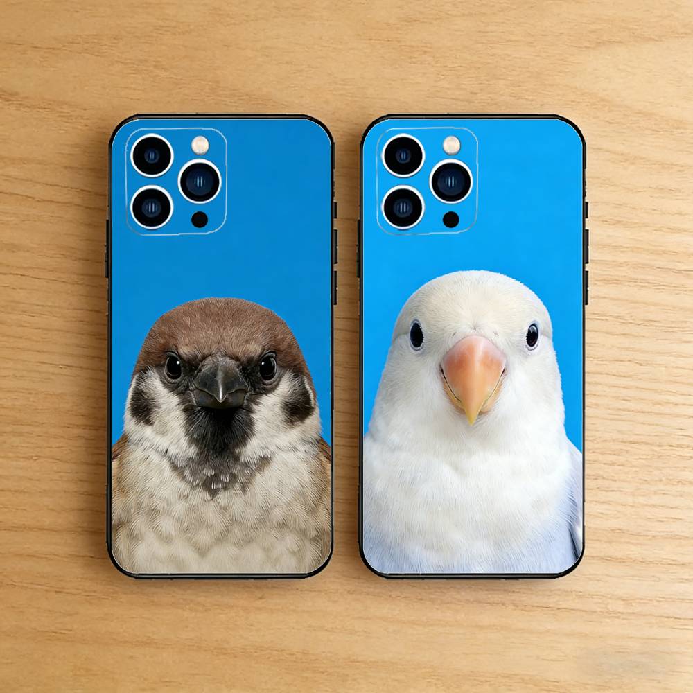 Photography Quotes Funny - Funny Bird Photography Phone Case for