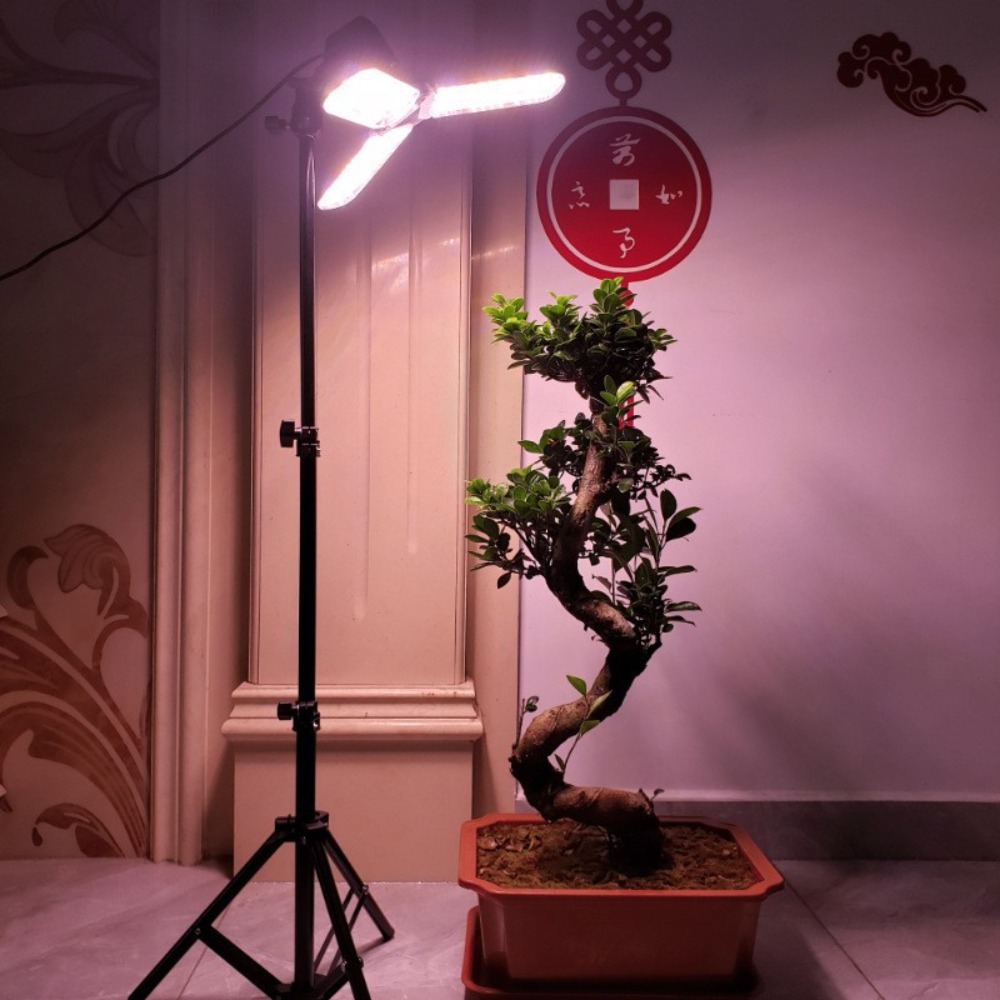 Light Bulb Stand 2M, E27 AC So - مراجعة Photography Bulb وسعره