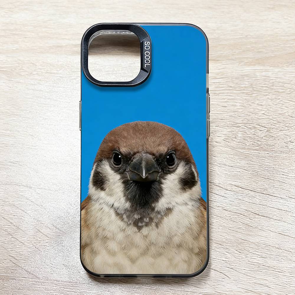 Funny Bird Photography Phone C - مراجعة Photography Quotes Funny وسعره