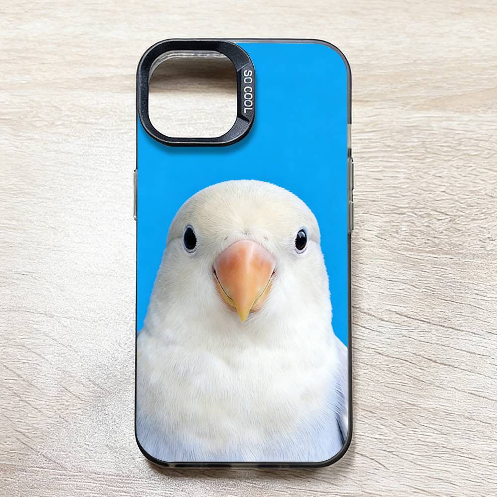 Funny Bird Photography Phone C - مراجعة Photography Quotes Funny وسعره