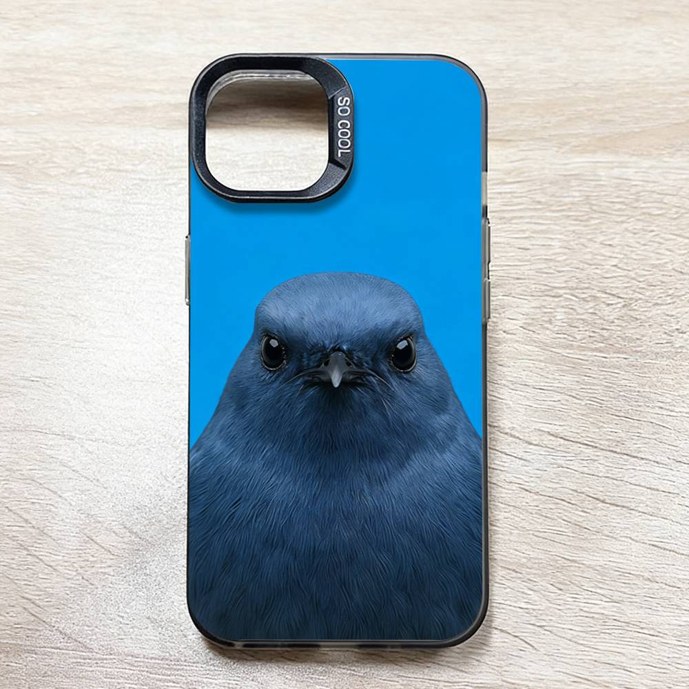 Funny Bird Photography Phone C - مراجعة Photography Quotes Funny وسعره