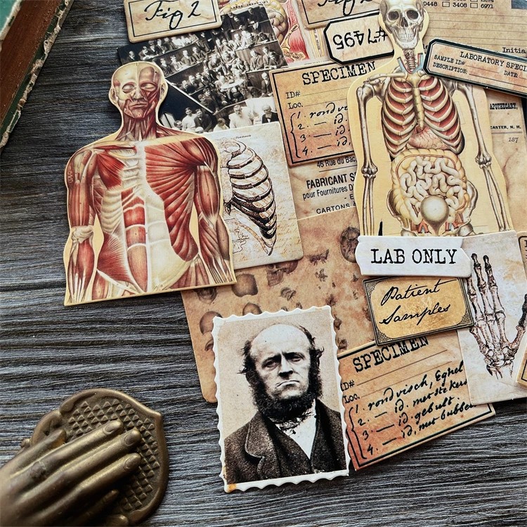 DIY Scrapbooking Vintage Doll  - مراجعة Photography Journal وسعره