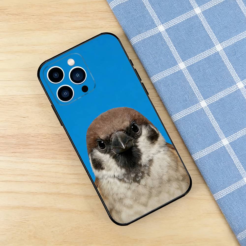Funny Bird Photography Phone C - مراجعة Photography Quotes Funny وسعره