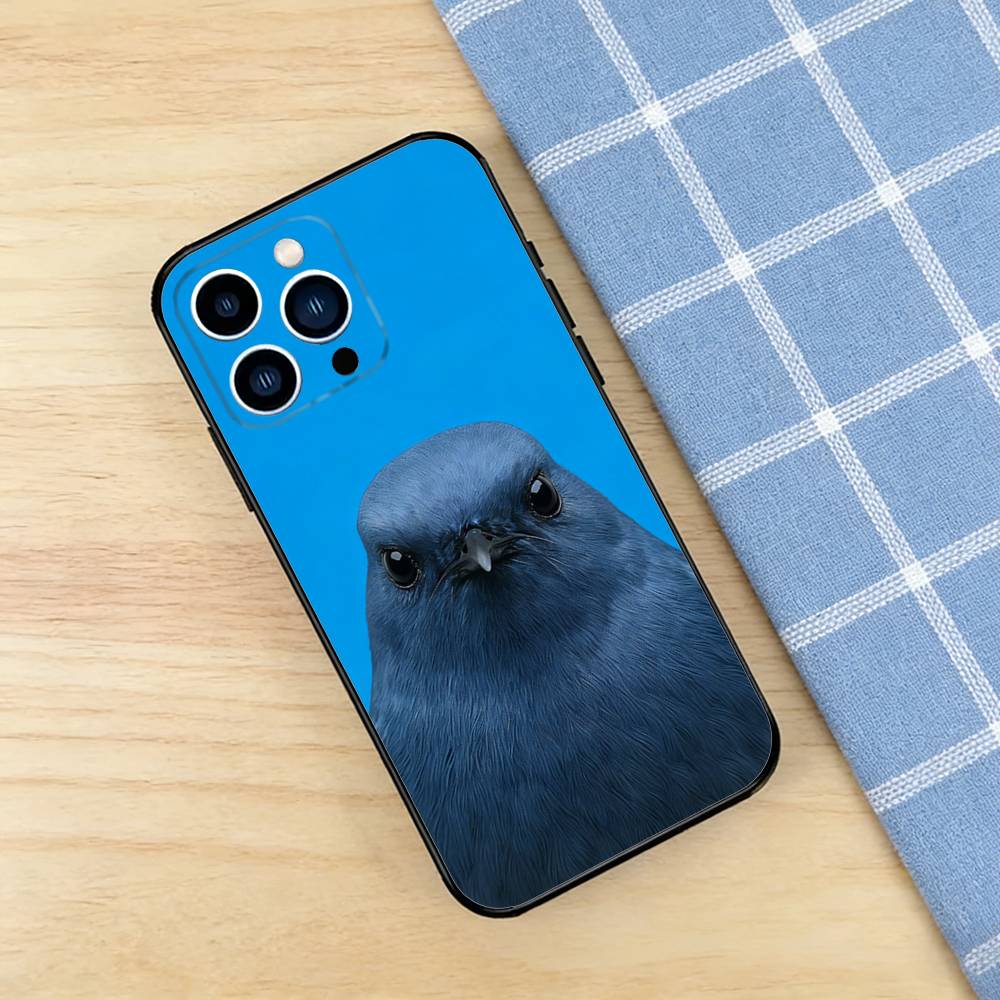 Funny Bird Photography Phone C - مراجعة Photography Quotes Funny وسعره