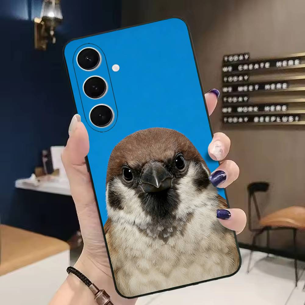 Funny Bird Photography Phone C - مراجعة Photography Quotes Funny وسعره