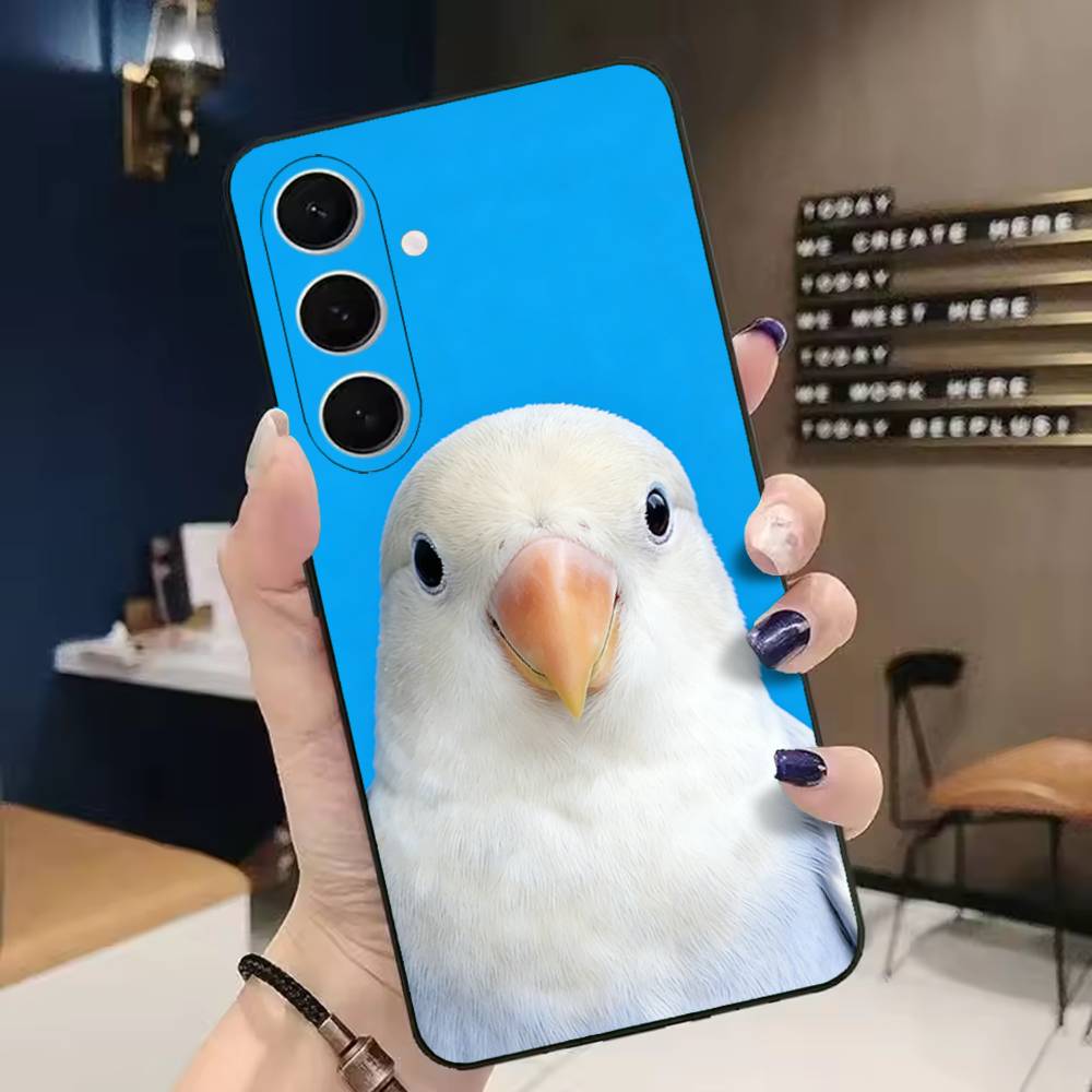 Funny Bird Photography Phone C - مراجعة Photography Quotes Funny وسعره