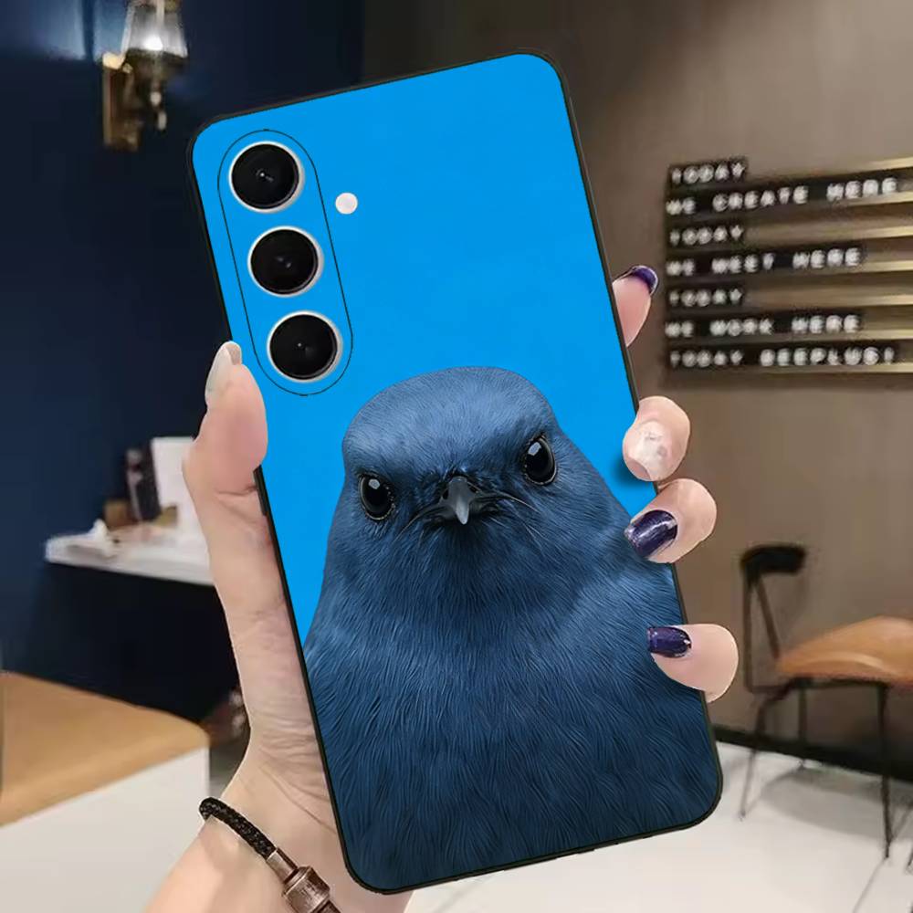 Funny Bird Photography Phone C - مراجعة Photography Quotes Funny وسعره