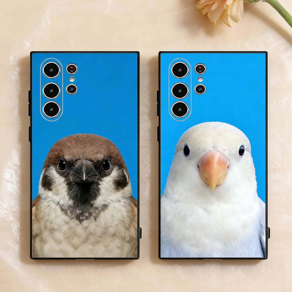 Funny Bird Photography Phone C - مراجعة Photography Quotes Funny وسعره