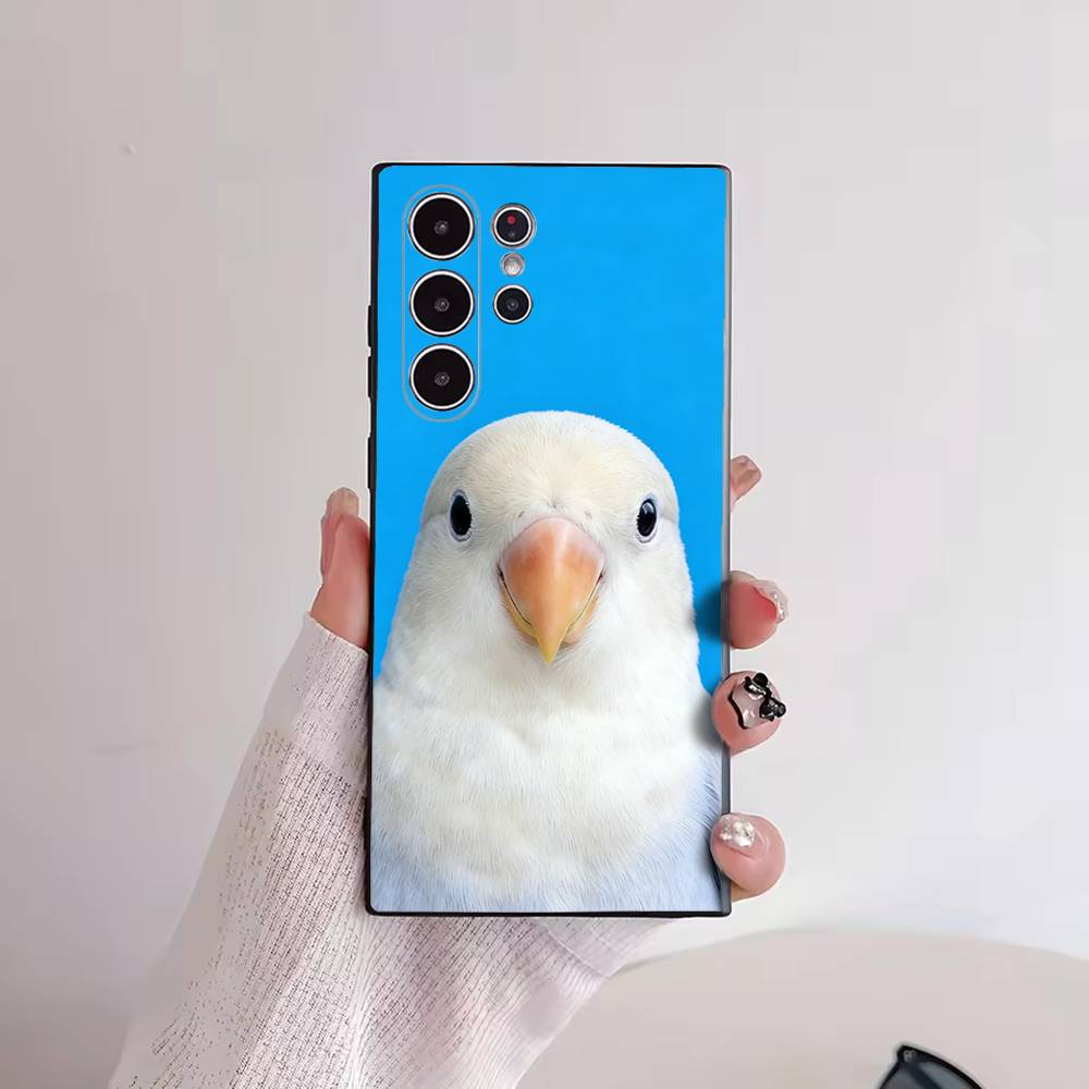 Funny Bird Photography Phone C - مراجعة Photography Quotes Funny وسعره