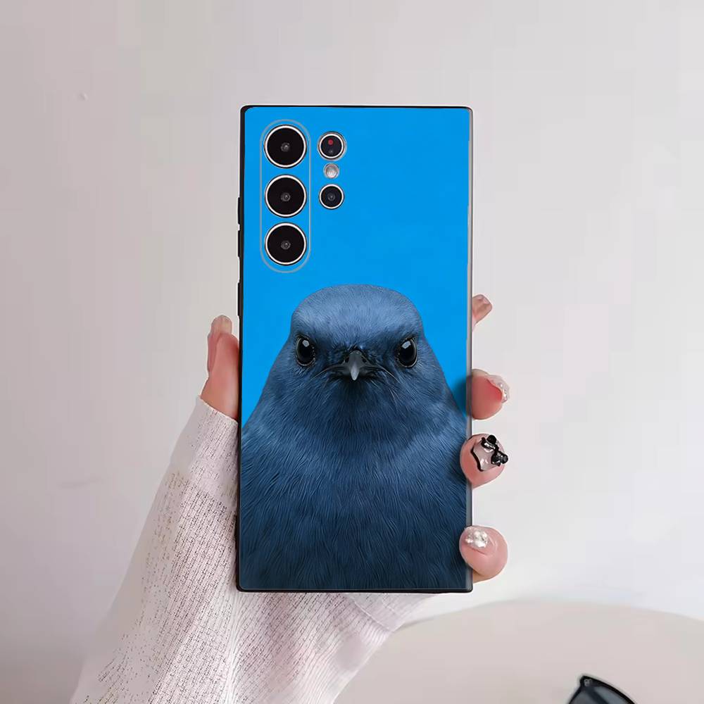 Funny Bird Photography Phone C - مراجعة Photography Quotes Funny وسعره