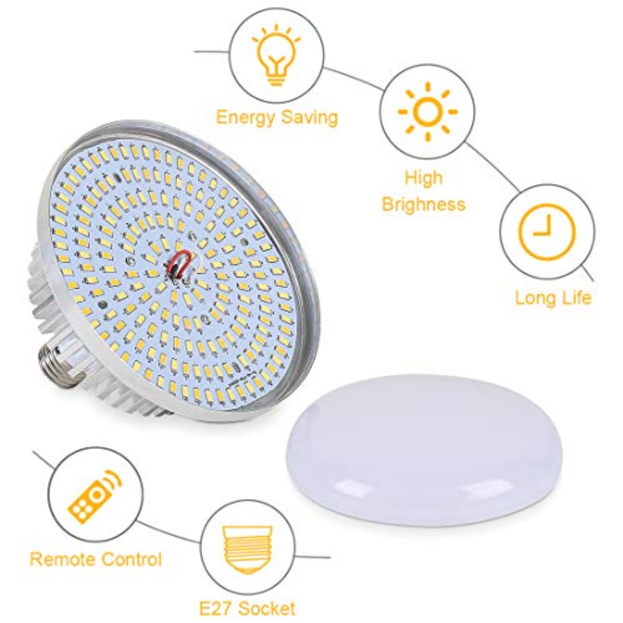 Continuous Lighting Kit for Ca - مراجعة Photography Bulb وسعره