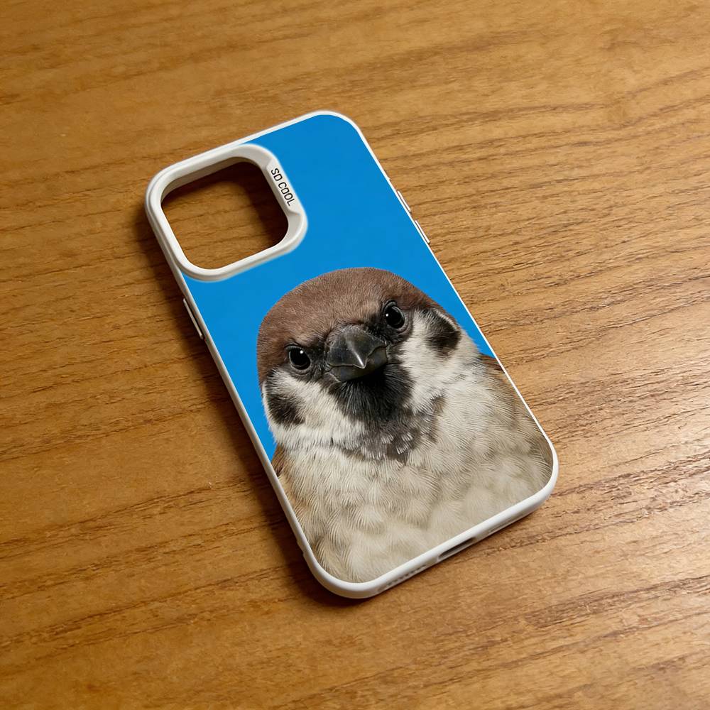 Funny Bird Photography Phone C - مراجعة Photography Quotes Funny وسعره
