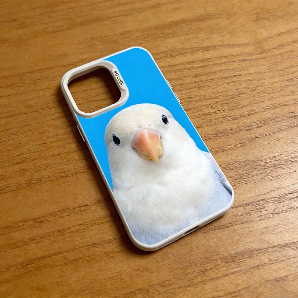 Funny Bird Photography Phone C - مراجعة Photography Quotes Funny وسعره