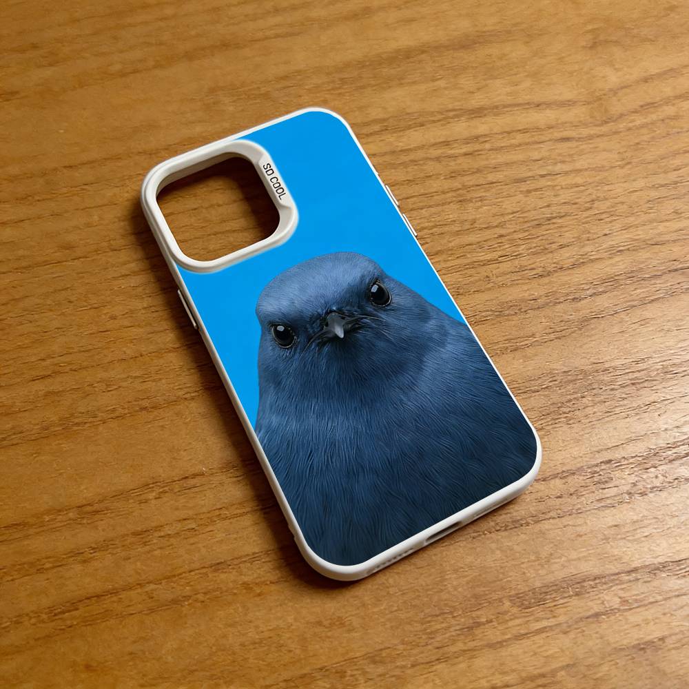 Funny Bird Photography Phone C - مراجعة Photography Quotes Funny وسعره
